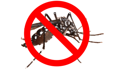 Mosquito Barrier Spray