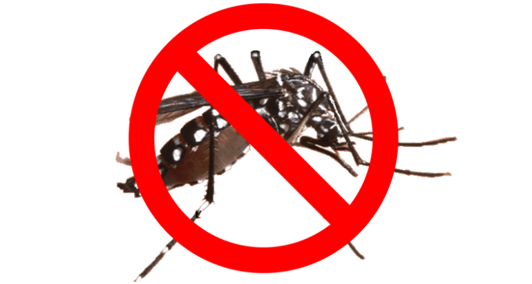 Mosquito Barrier Spray