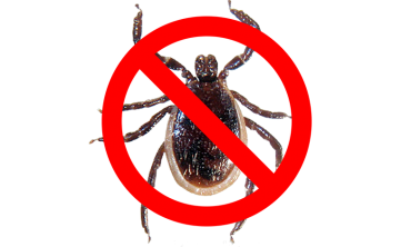 Tick Spray