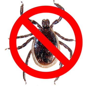 Tick Spray