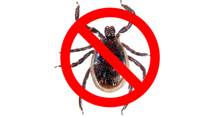 Tick Spray
