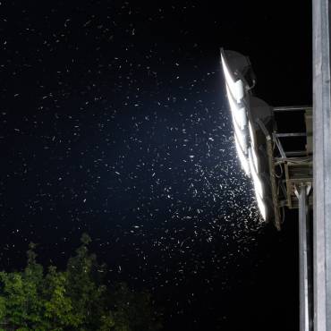 What Areas Attract Mosquitoes The Most?