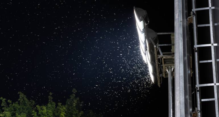 What Areas Attract Mosquitoes The Most?