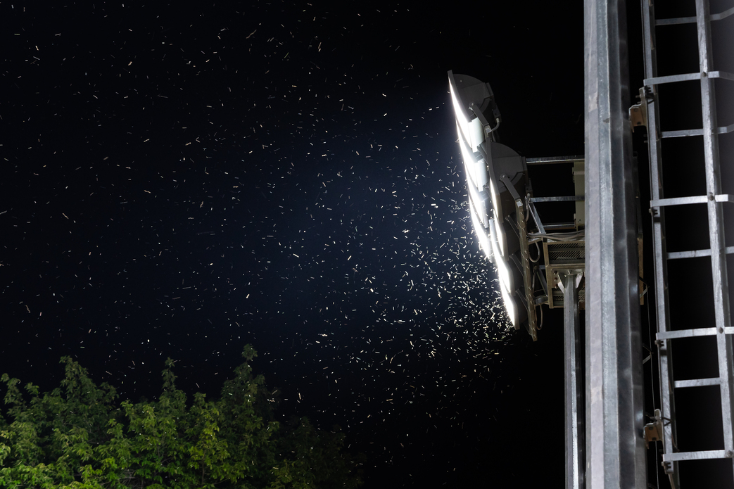 What Areas Attract Mosquitoes The Most?
