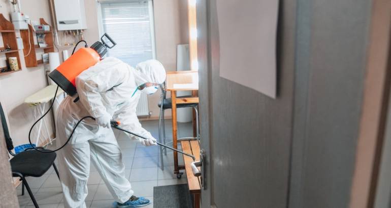 The Secret to Effective Mosquito Control Around Your Hartford Yard