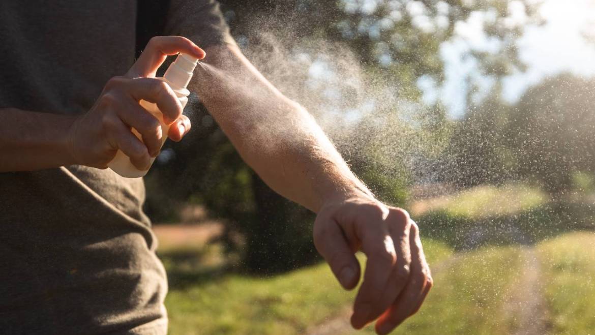 Why You Should Spray For Mosquitoes