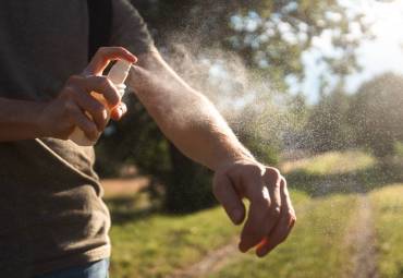 Why You Should Spray For Mosquitoes